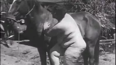 Pige i erotisk kostume famlede smukke animal analsex fisse