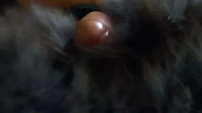 Busty pige analsex xxx onanerer charmerende røvhul
