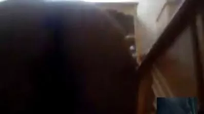 Dørmand fucks en gravid anal rig kro i en barberet fisse