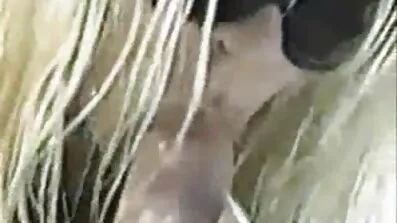 Søde anal sex amateur Kitt massaggi